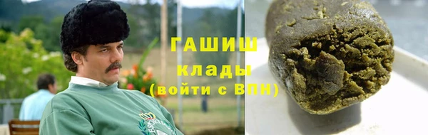 индика Бронницы